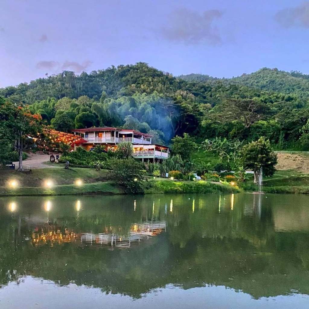 Imagen de portada del listado